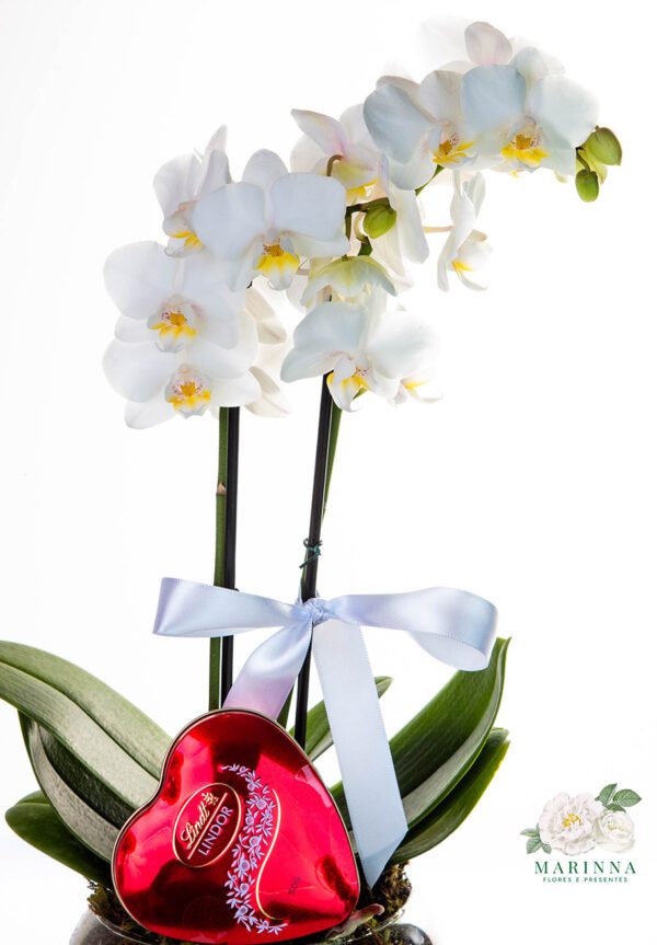 Mini Orquídea Branca com Lindt Heart - Imagem 4