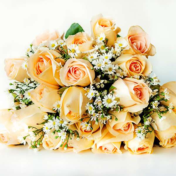 Buquê de 12 Rosas Champanhe - Imagem 3