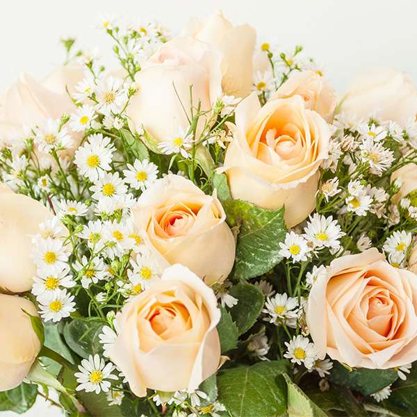 Buquê de 12 Rosas Champanhe - Imagem 2