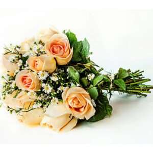 Buquê de 12 Rosas Champanhe