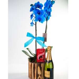 Orquídea Azul Rústica com Chandon e Lindt