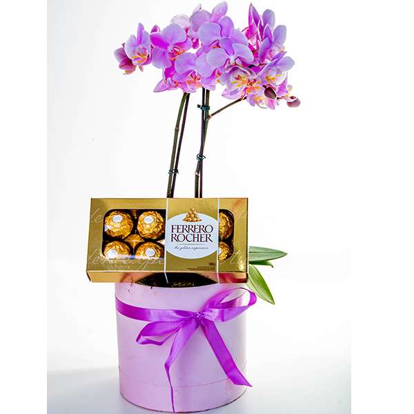 Sofisticada Mini Orquídea Pink com Ferrero Rocher
