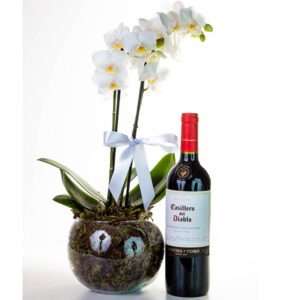 Luxuosa Mini Orquídea com Vinho