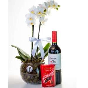 Luxuosa Mini Orquídea com Vinho e Lindt