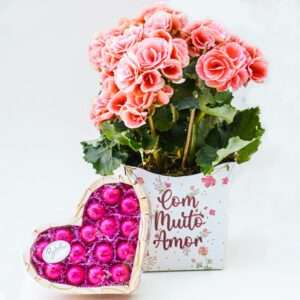 Begônia "Com Muito Amor" com Chocolate