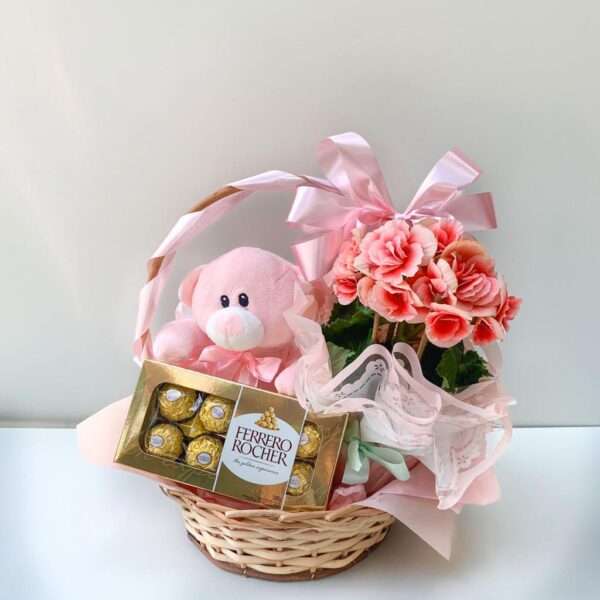 Cesta Baby Girl - Begônia - Imagem 2