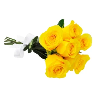 Buquê de 6 Rosas Amarelas Simples