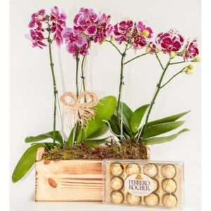 Arranjo de Orquídeas com Ferrero Rocher