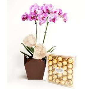 Orquídea Phaleonopsis Exótica com Ferrero Rocher
