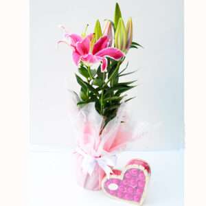 Lírio Rosa com Chocolate de Coração