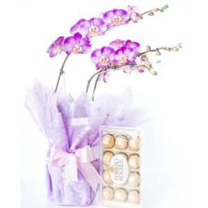 Orquídea Exótica com Ferrero Rocher