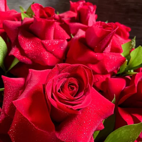 Buquê de 24 Rosas Colombianas - Imagem 2