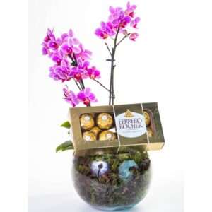 Mini Orquídea Lilás no Vaso com Ferrero Rocher