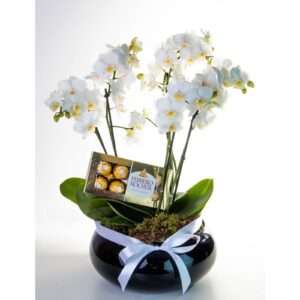 Luxuoso Orquidário de Orquídeas Brancas com Ferrero Rocher