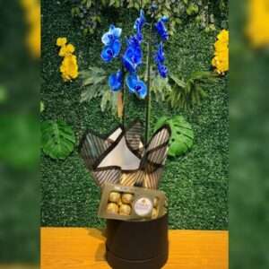 Orquídea Azul na Box com Ferrero Rocher
