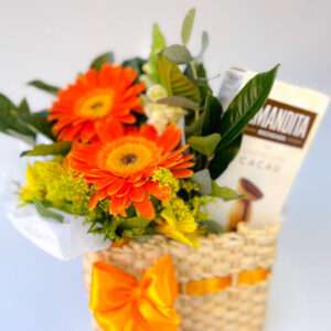 Bolsa de Gérberas com Amandita