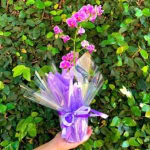 Orquídea Mini Lilás/Pink no Papel para Presente