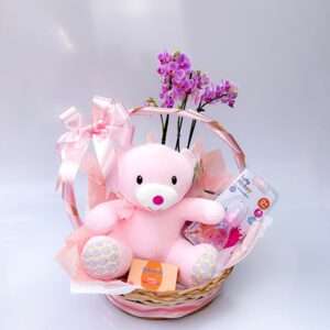 Cesta Maternidade Para Meninas