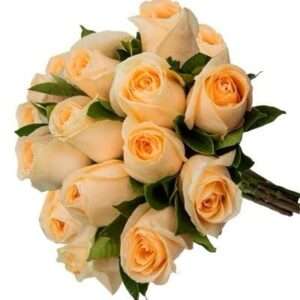 Buquê Minimalista de 20 Rosas Champanhe