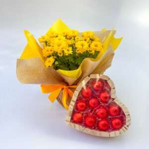 Mini Margarida Amarela com Chocolate