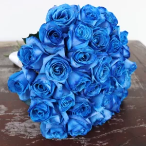 Buquê de 36 Rosas Azuis