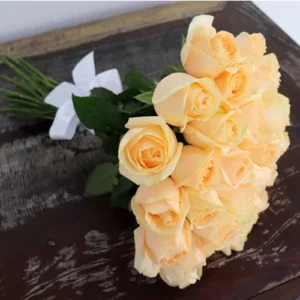 Buquê de 36 Rosas Champanhe