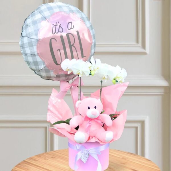 Box de Orquídea Branca – It’s a girl - Imagem 2