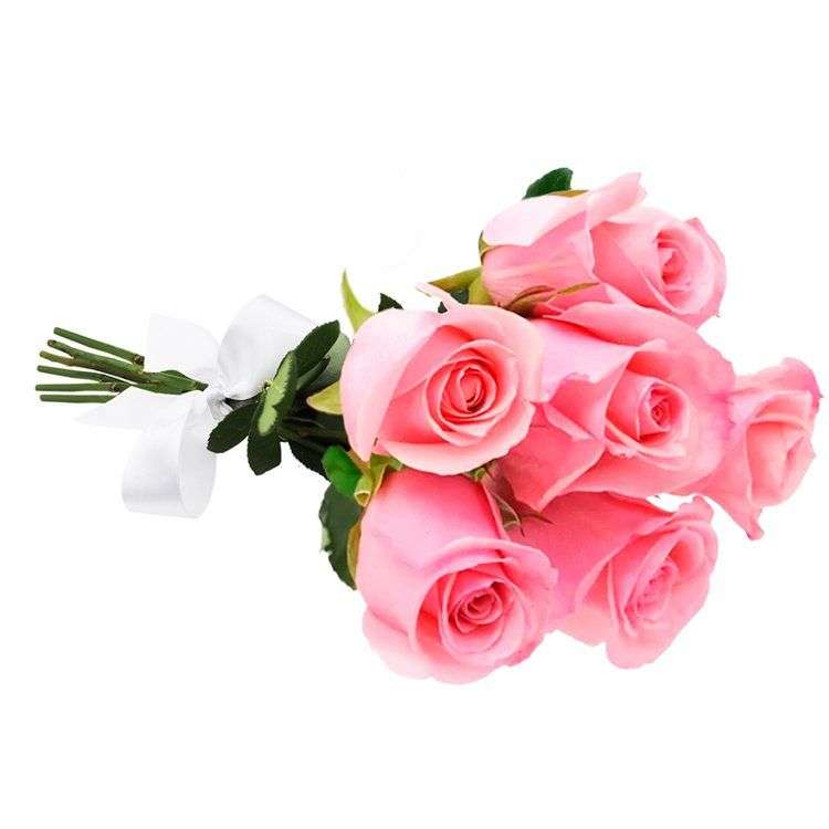 Buquê 6 Rosas Cor de Rosa