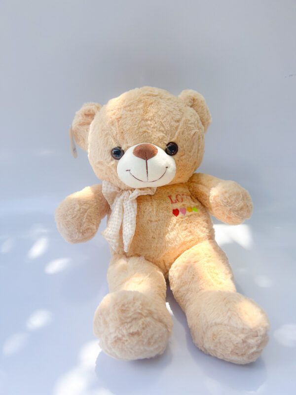 Urso com gravata - Imagem 2