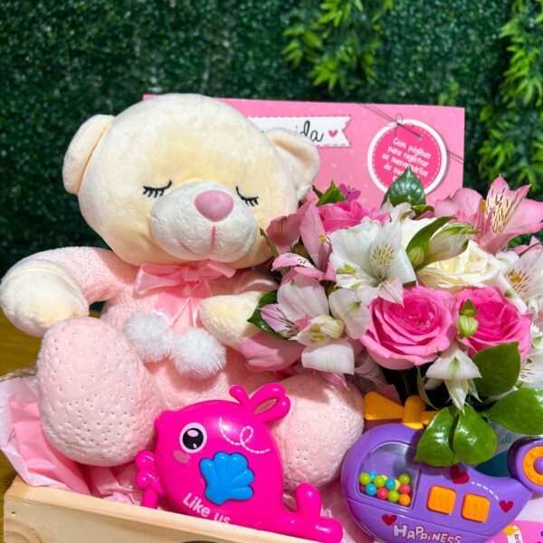 Cesta Maternidade Bem-Vinda Princesa - Imagem 2