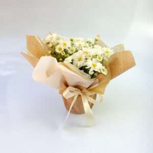 Mini Margarida Branca