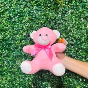Urso de Pelúcia Rosa
