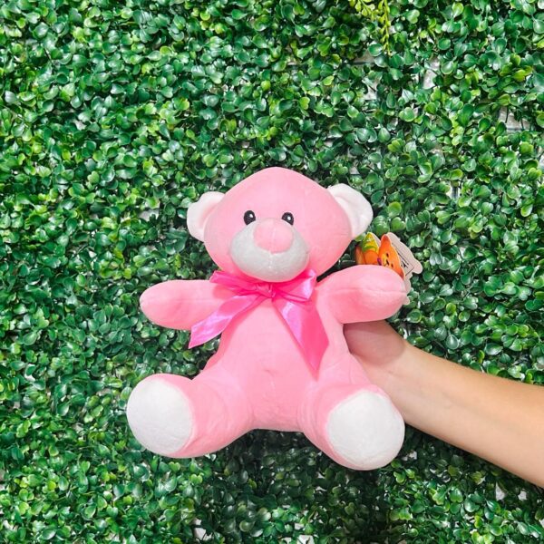 Urso de Pelúcia Rosa - Imagem 2