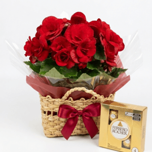 Bolsa de Palha com Begônia Vermelhas e Ferrero Rocher – Presente Romântico